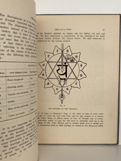 THE CHAKRAS: A Monograph