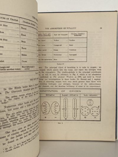 THE CHAKRAS: A Monograph
