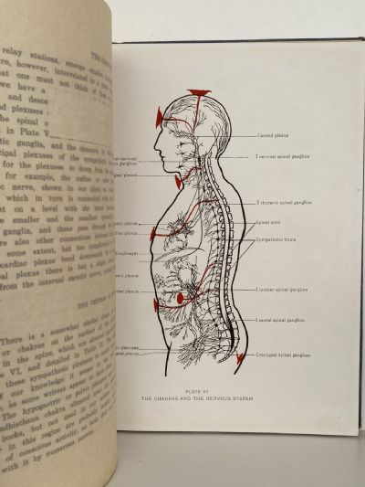 THE CHAKRAS: A Monograph