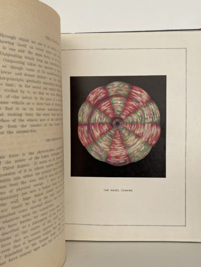 THE CHAKRAS: A Monograph