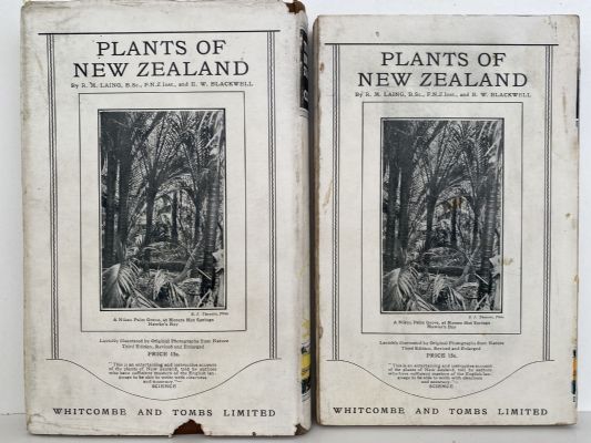TRAVEL IN NEW ZEALAND: The Island Dominion - Its Life and Scenery Pleasure Routes and Sport