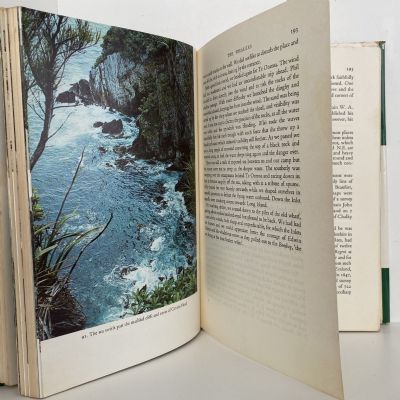 PORT PRESERVATION: The Story of Preservation Inlet and the Solander Grounds