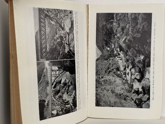 THE GOLDEN COBWEB: A saga of the Otago Goldfields 1861-64