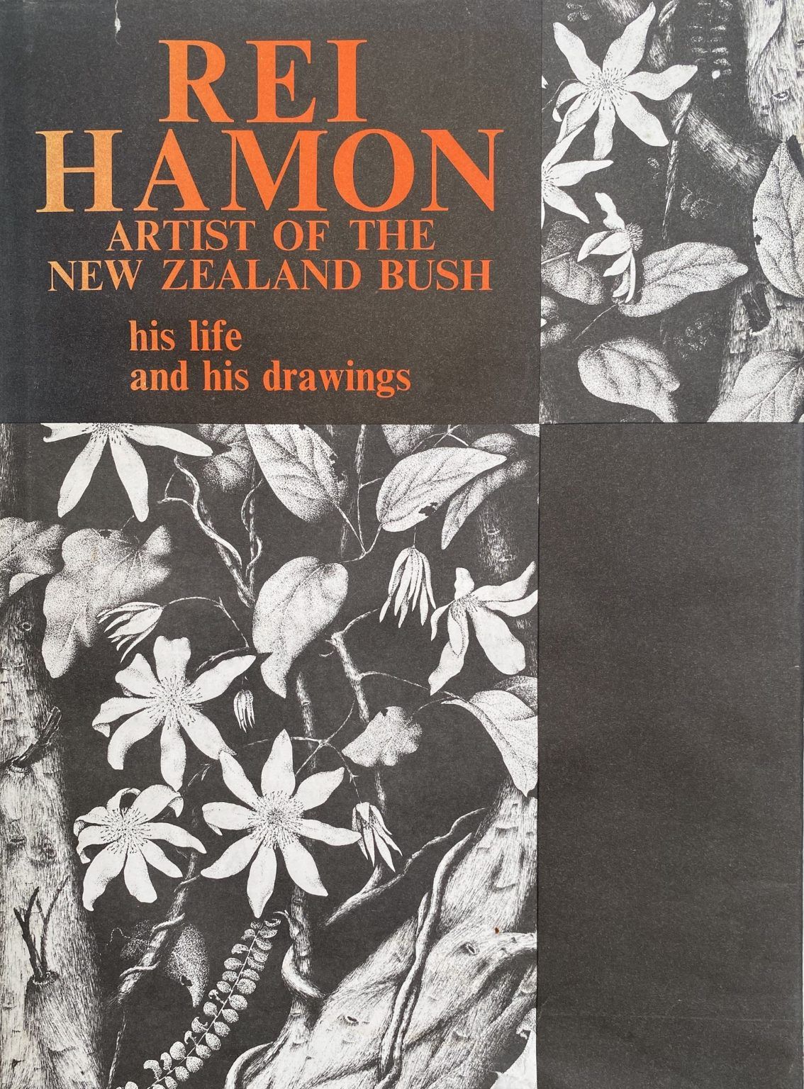 REI HAMON: Artist of the New Zealand Bush - his life and drawings