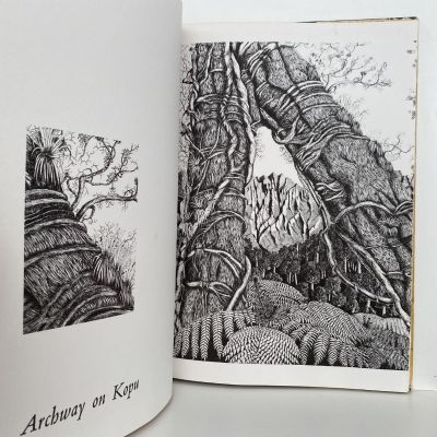 REI HAMON: Artist of the New Zealand Bush - his life and drawings