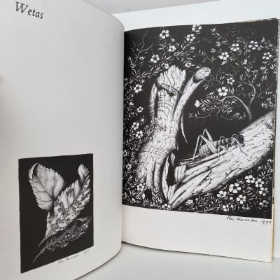 REI HAMON: Artist of the New Zealand Bush - his life and drawings