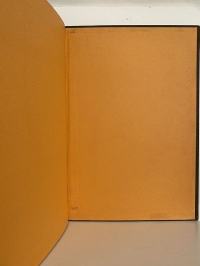REI HAMON: Artist of the New Zealand Bush - his life and drawings