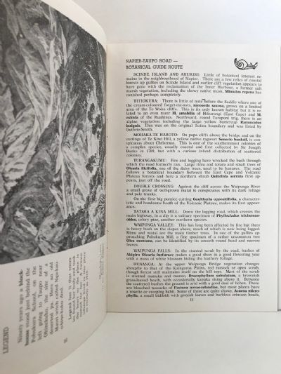 1855-1955 ONE HUNDRED YEARS: On the Napier - Taupo Road