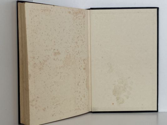 MARK OF THE LION: The story of Charles Upham V.C & Bar