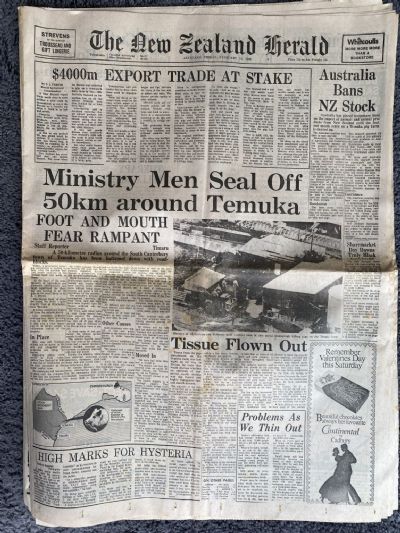 OLD NEWSPAPER: The New Zealand Herald, 13th February 1981 - Foot and mouth outbreak