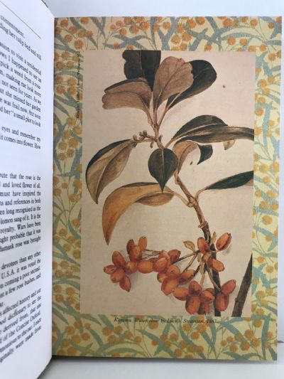 GARDENING TALES