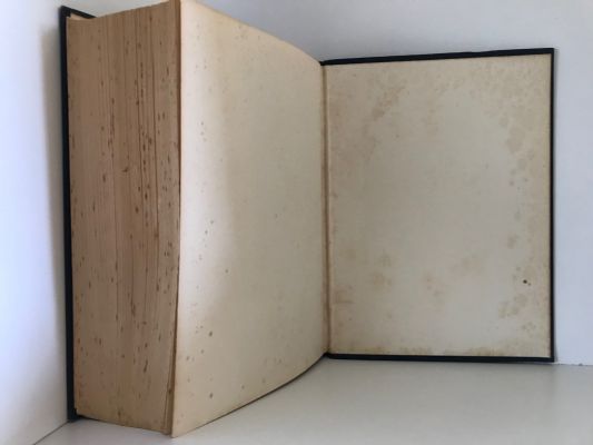 DICTIONARY OF THE BIBLE 1909