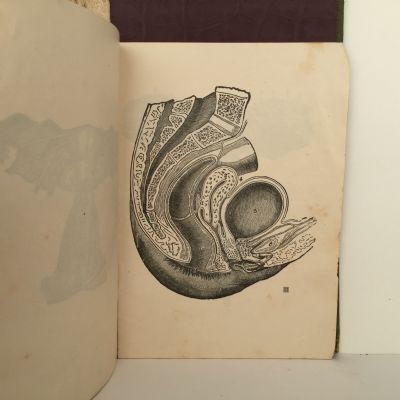 TOKOLOGY: A Book for Every Woman