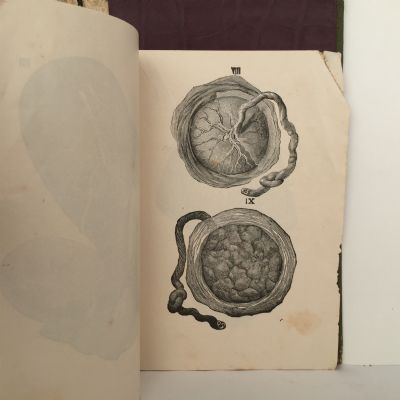 TOKOLOGY: A Book for Every Woman