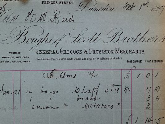 ANTIQUE INVOICE / RECEIPT: Scott Brothers, Dunedin – Produce Merchants 1903 