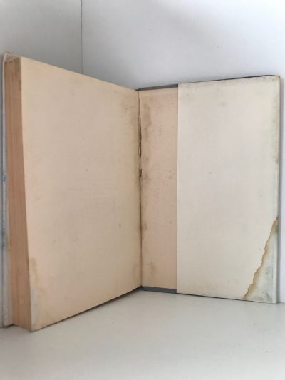 BANKING UNDER DIFFICULTIES: Or Life on the Goldfields
