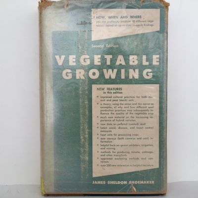Vegetable Growing