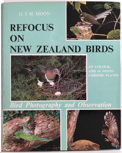 REFOCUS ON NEW ZEALAND BIRDS: Bird Photography and Observation