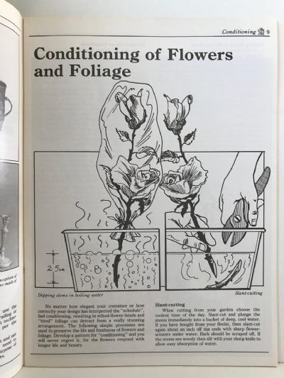 FURTHER FUN WITH FLOWERS