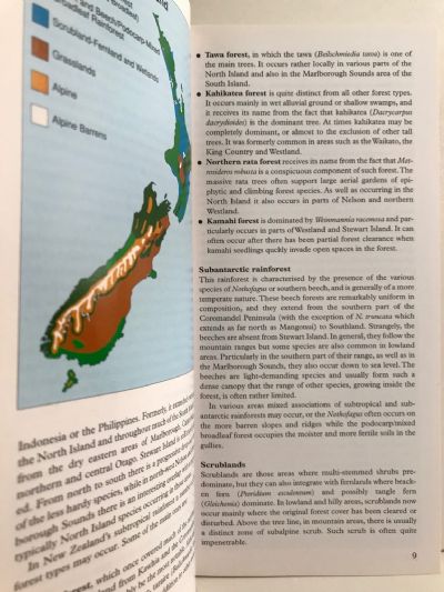 TREES OF NEW ZEALAND: A Photographic Guide