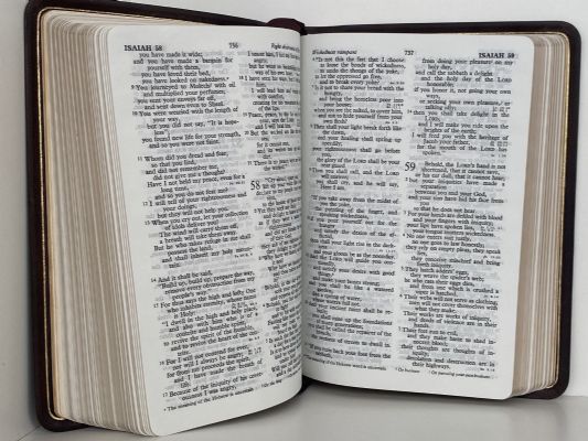 HOLY BIBLE: Red Letter Edition