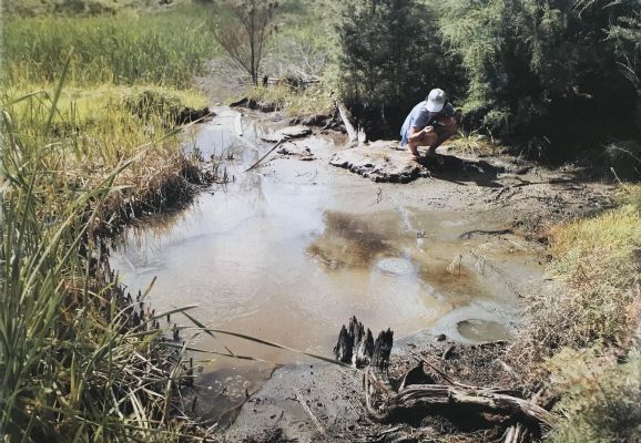 MINERAL AND THERMAL WATERS AND SPRINGS of North Auckland