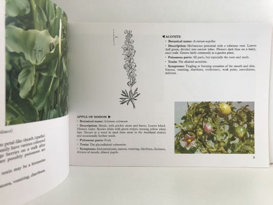 POISONOUS PLANTS: In new Zealand