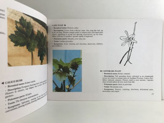 POISONOUS PLANTS: In new Zealand
