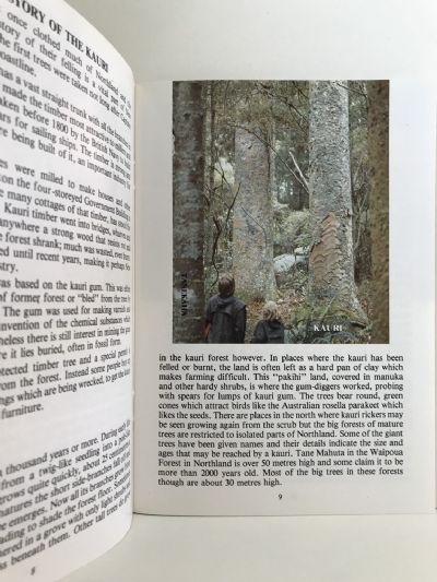 THE NATIVE TREES AND FORESTS of New Zealand - The Children's Guide