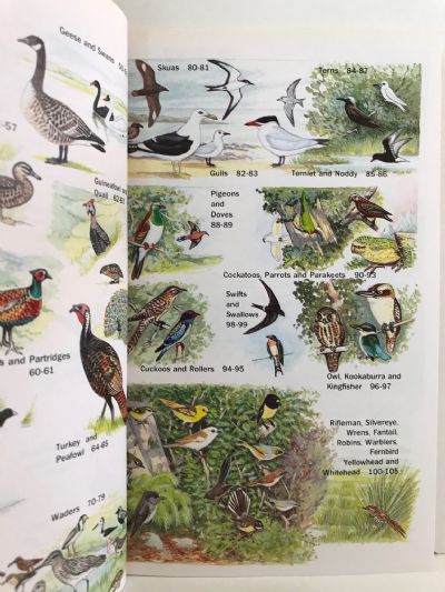 THE BIRDS OF NEW ZEALAND: Collins Handguide