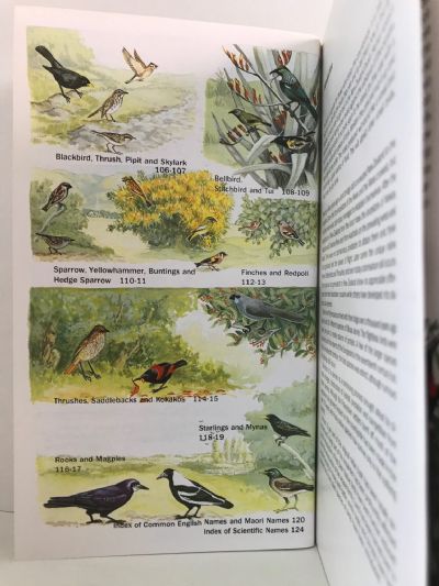 THE BIRDS OF NEW ZEALAND: Collins Handguide