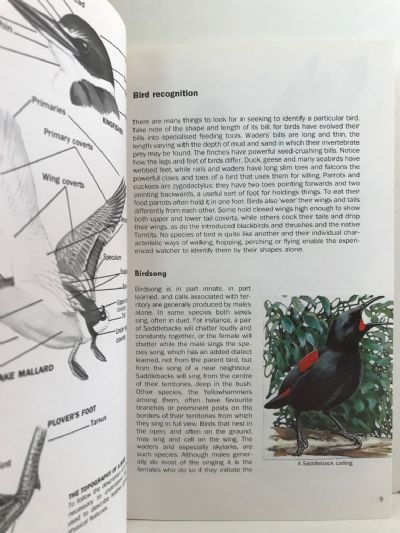 THE BIRDS OF NEW ZEALAND: Collins Handguide