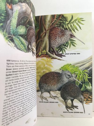 THE BIRDS OF NEW ZEALAND: Collins Handguide