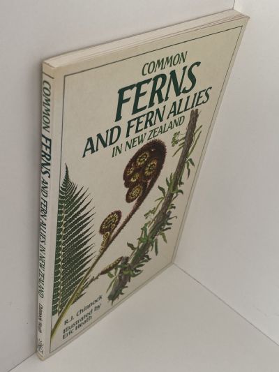 COMMON FERNS AND FERN ALLIES In New Zealand