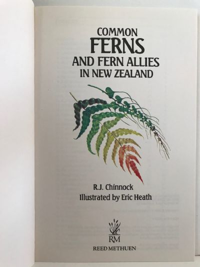 COMMON FERNS AND FERN ALLIES In New Zealand