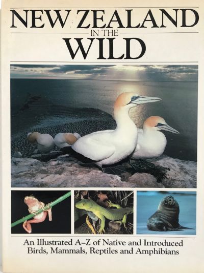 NEW ZEALAND IN THE WILD 