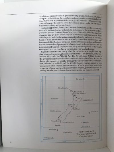 NEW ZEALAND IN THE WILD