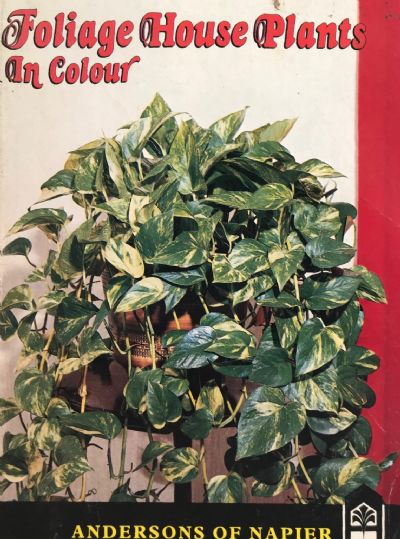 FOLIAGE HOUSEPLANTS IN COLOUR 