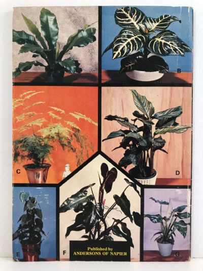 FOLIAGE HOUSEPLANTS IN COLOUR