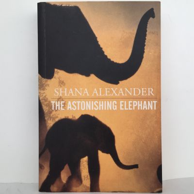 The Astonishing Elephant