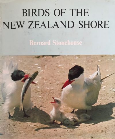 BIRDS OF THE NEW ZEALAND SHORE 