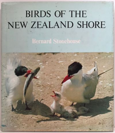 BIRDS OF THE NEW ZEALAND SHORE