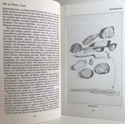 BILL OWEN'S BAY OF PLENTY COAST: From Cape Colville To Cape Runaway