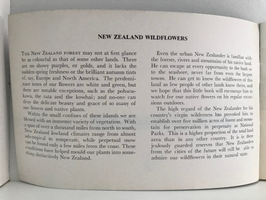 NEW ZEALAND WILDFLOWERS