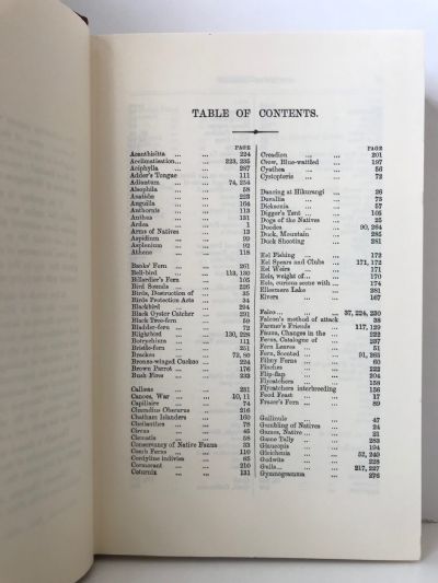 OUT IN THE OPEN: A Budget of Scraps of Natural History - Gathered in New Zealand