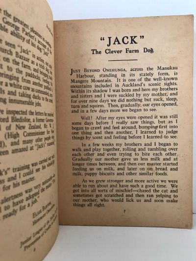 JACK - A True Story of a Clever New Zealand Farm Dog