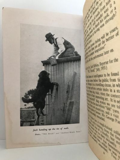JACK - A True Story of a Clever New Zealand Farm Dog